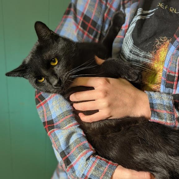 Kirk Purrbstreit thumbnail 4