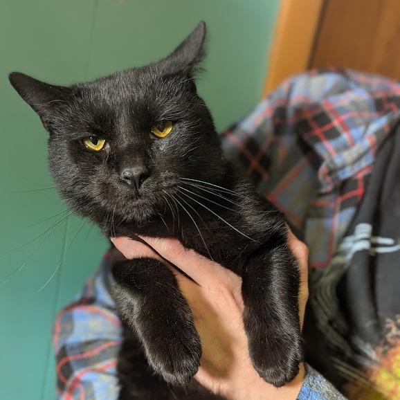 Kirk Purrbstreit thumbnail 5