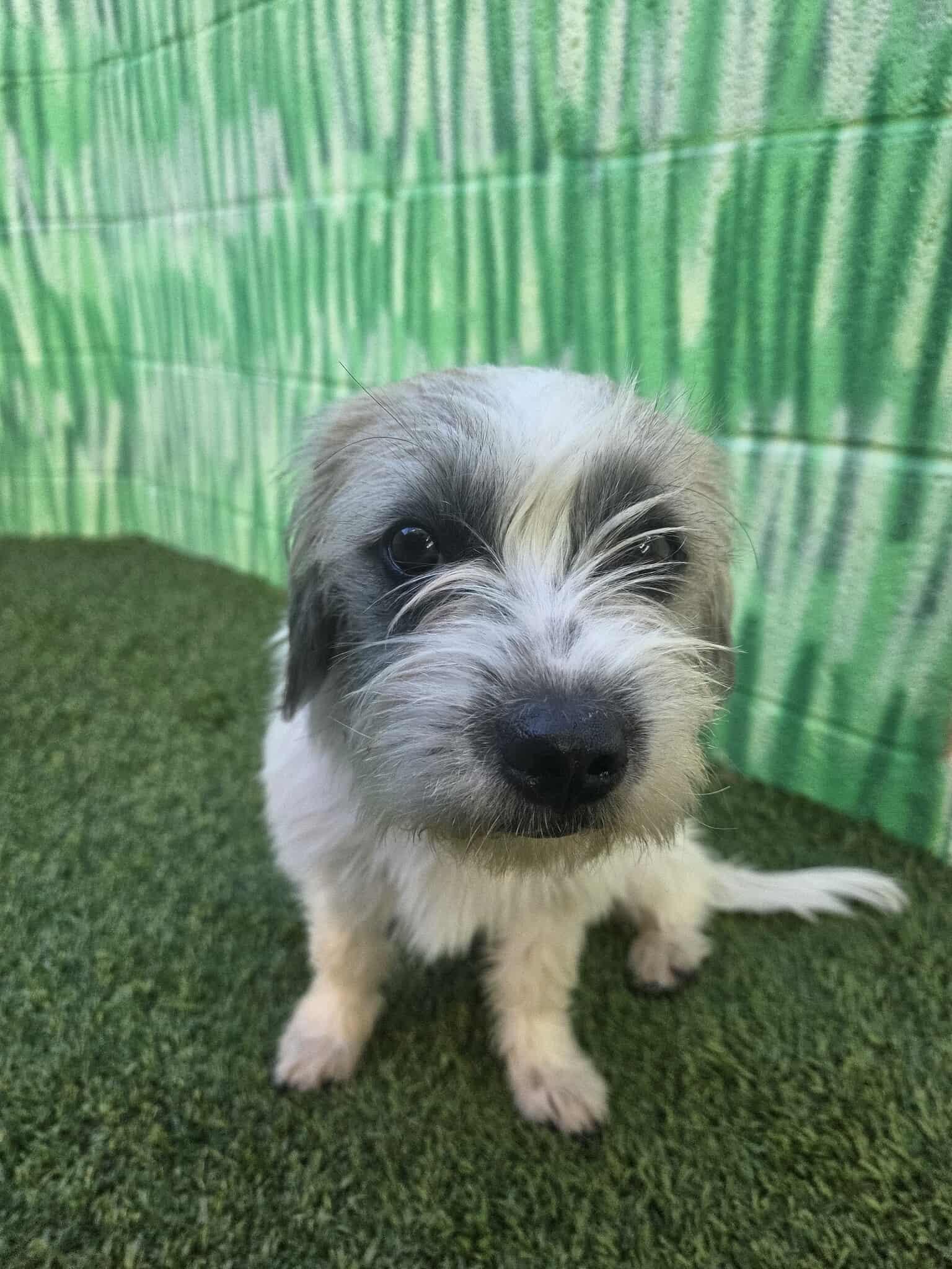 College Kids - Cambridge