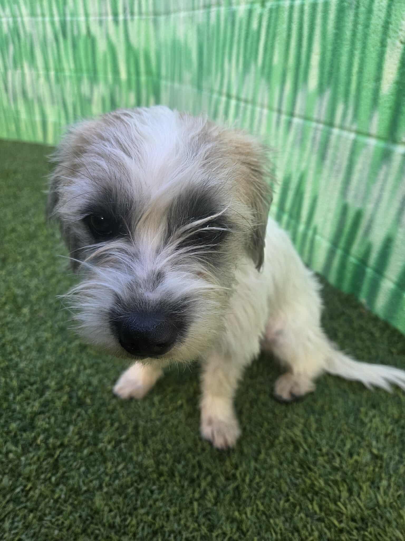 College Kids - Cambridge