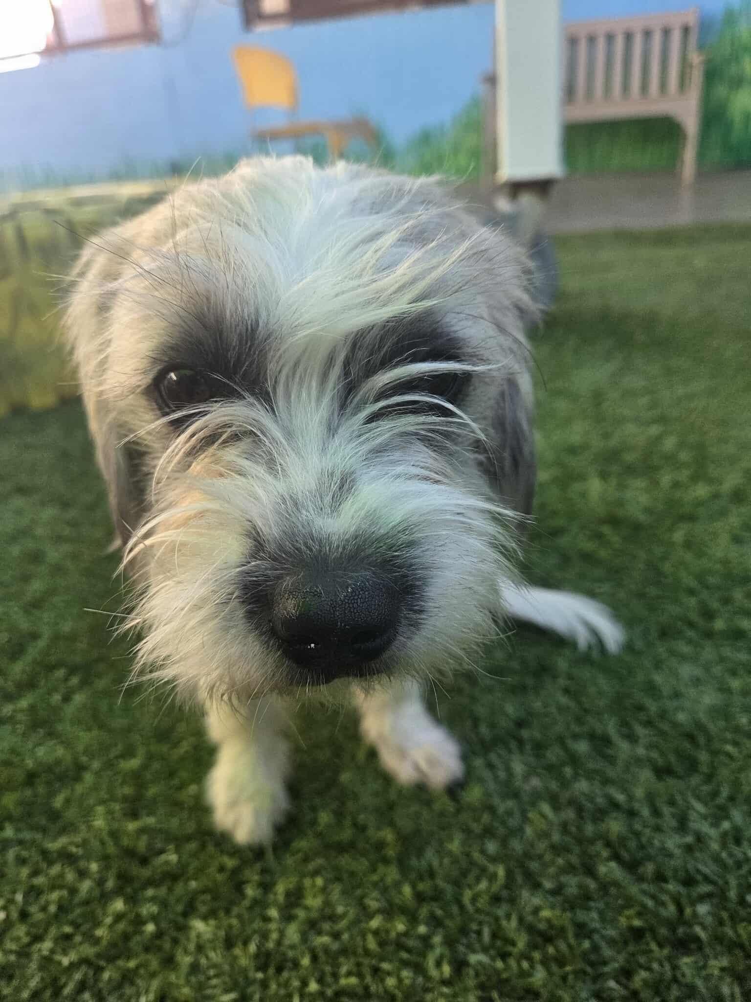 College Kids - Cambridge