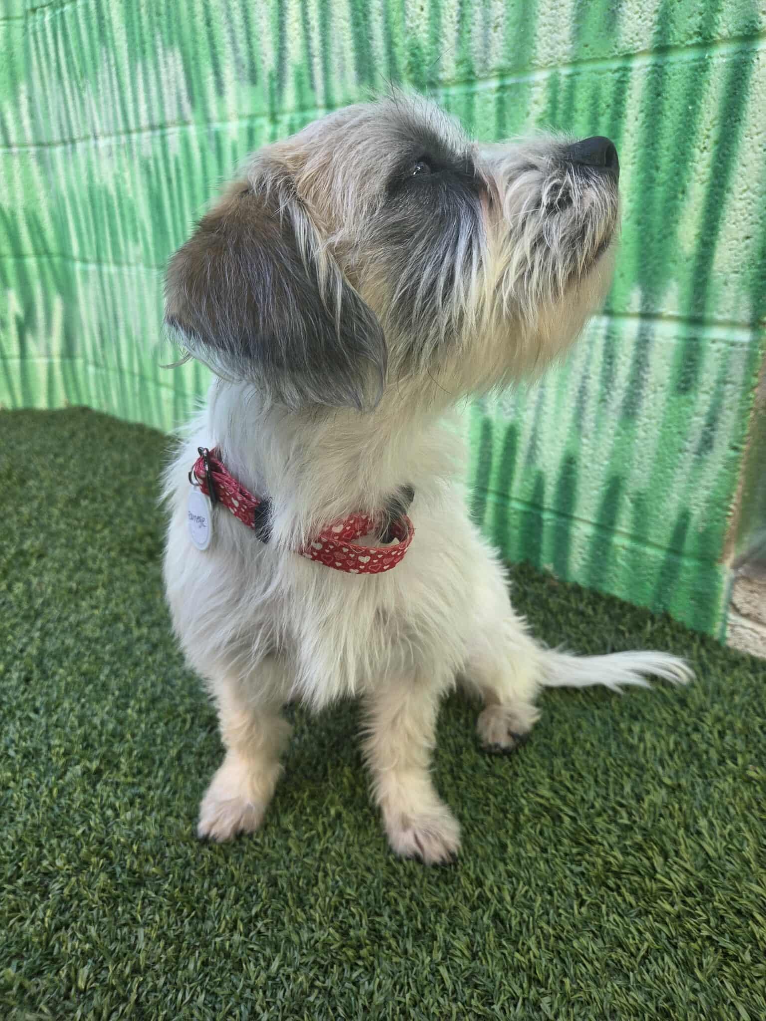 College Kids - Cambridge