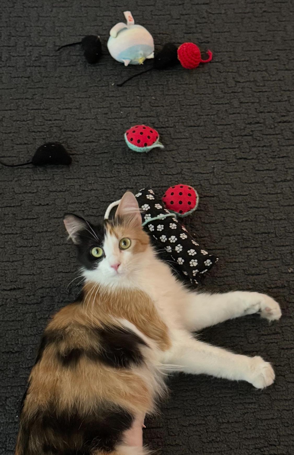 CHLOE