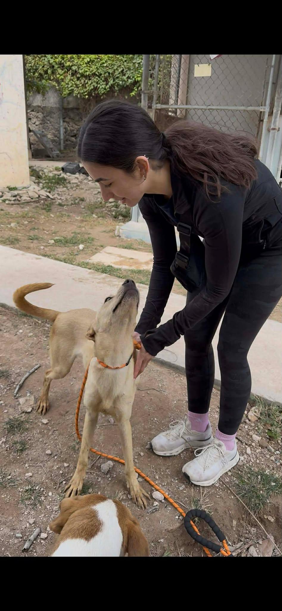 Lou (20251019-01) — thumbnail 2