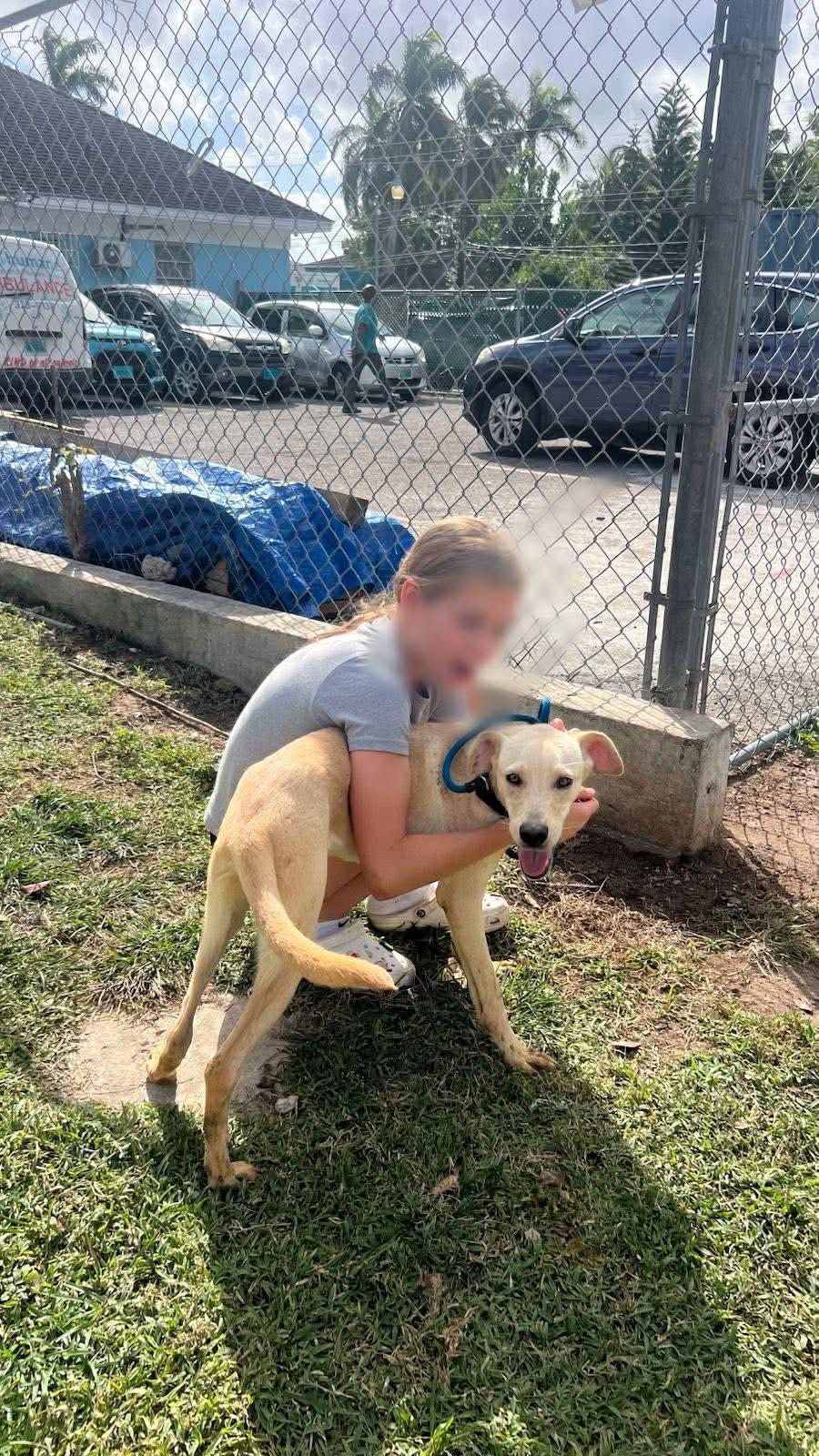 Lou (20251019-01) — thumbnail 5