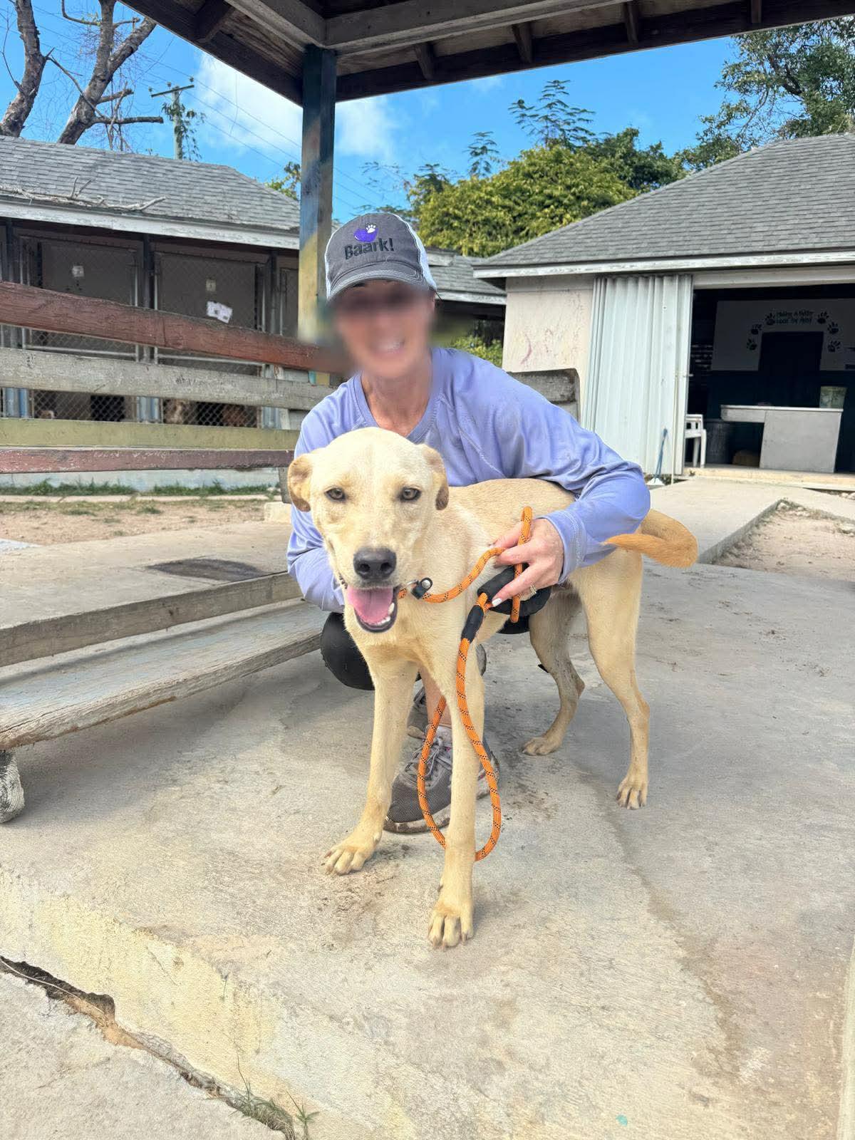 Lou (20251019-01) — thumbnail 6