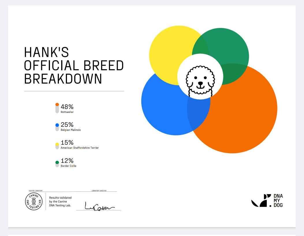 Hank — thumbnail 2