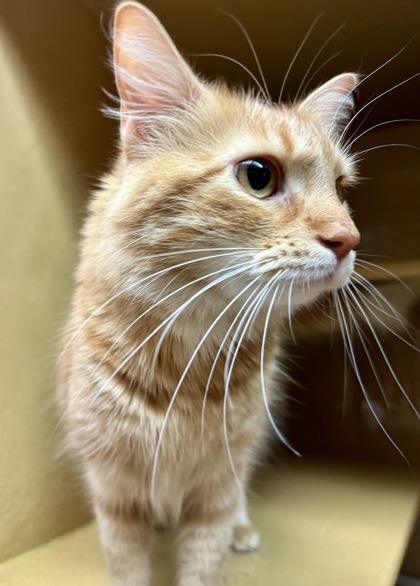 Naru — thumbnail 2