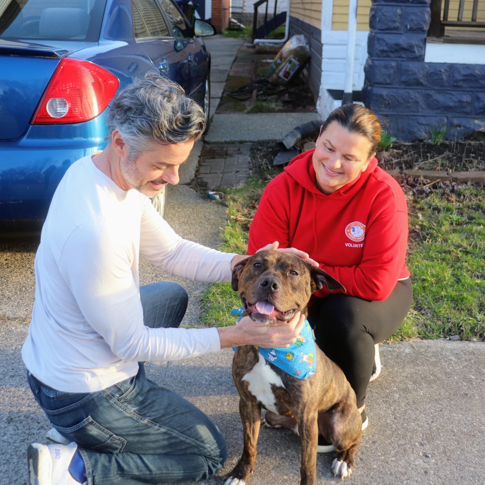 Enlarge Chex , a ADOPTABLE mixed breed in Buffalo, NY image 2/6