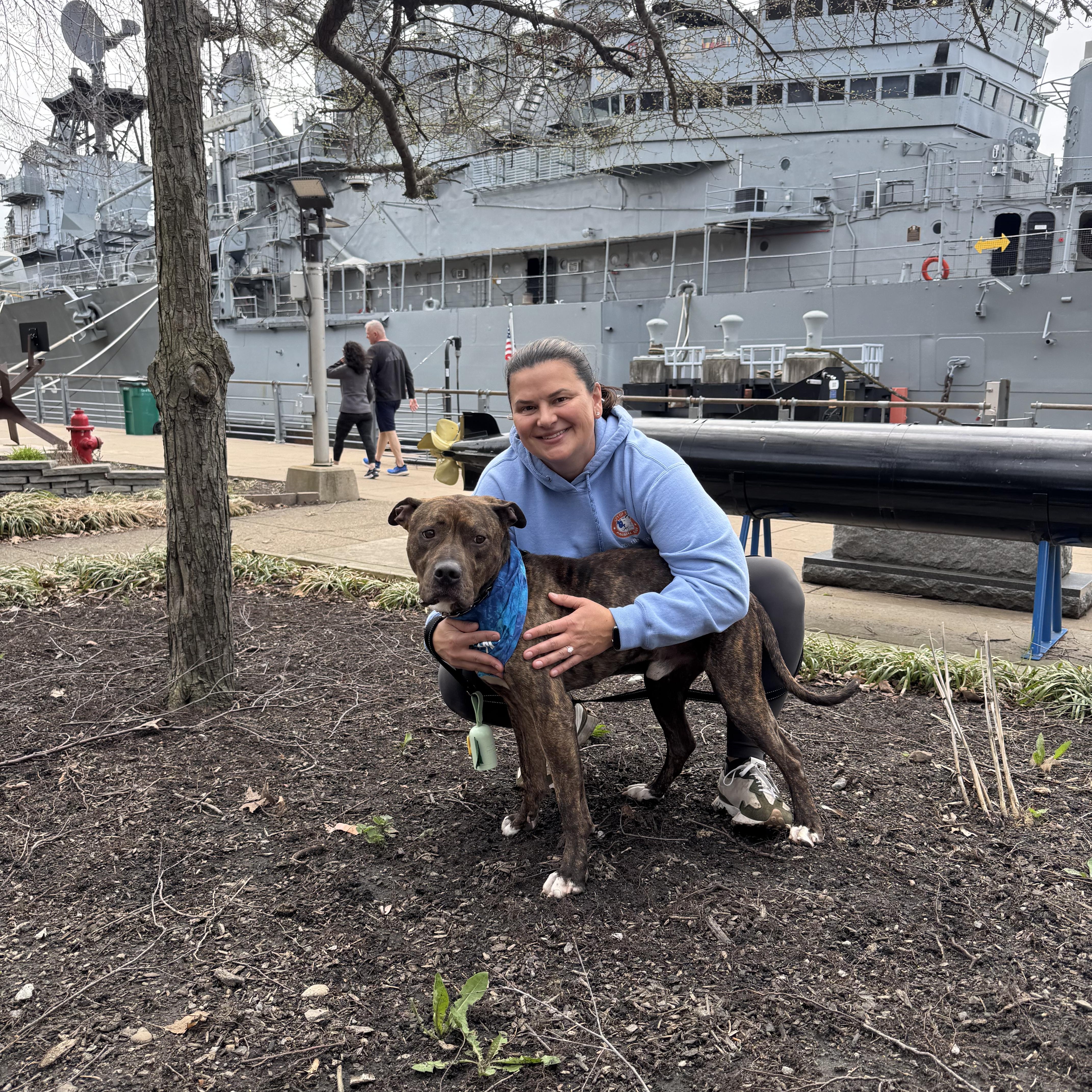 Enlarge Chex , a ADOPTABLE mixed breed in Buffalo, NY image 6/6