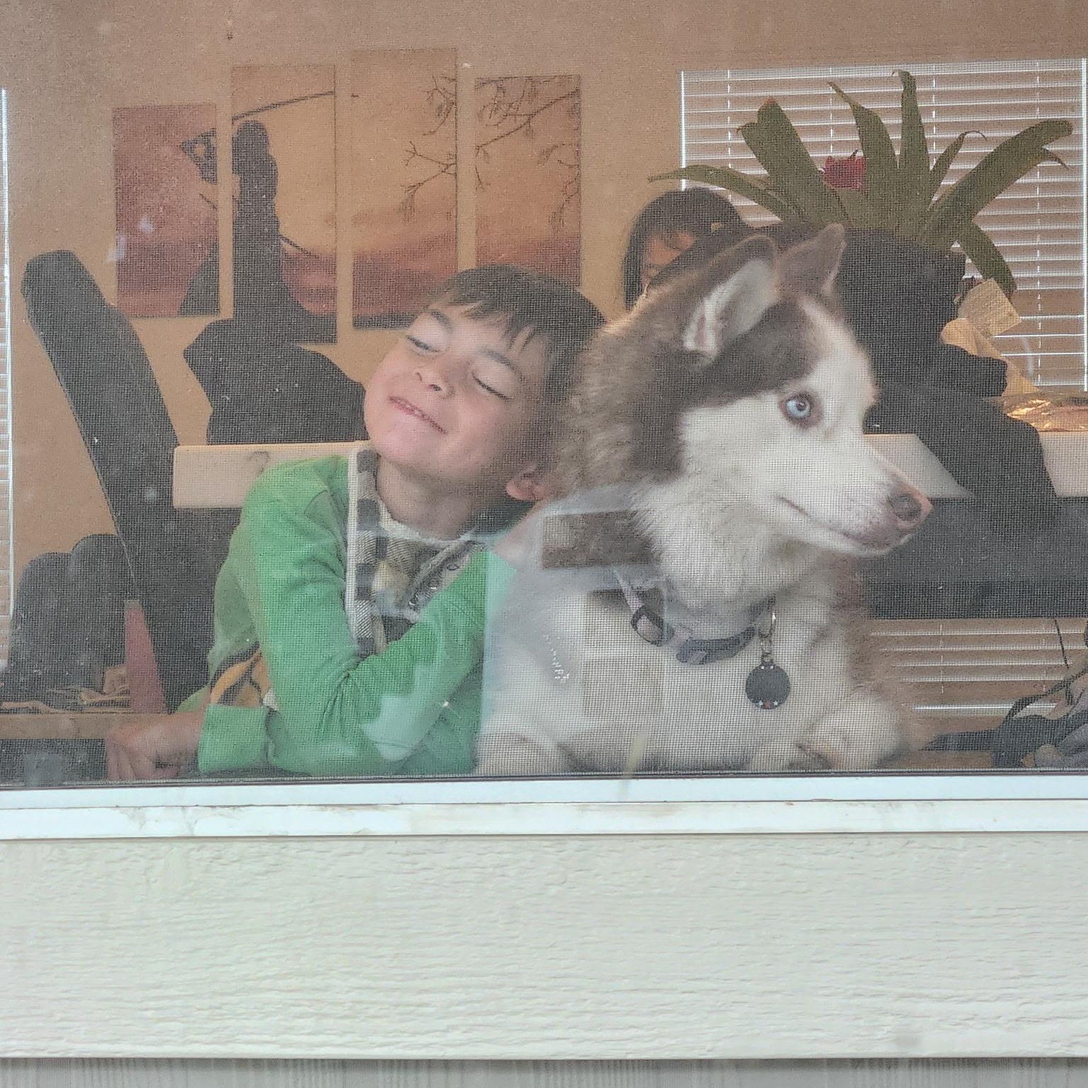 Enlarge Journey, an adoptable mixed breed in Orange, CA image 2/6