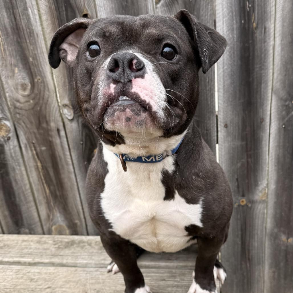 Mark — thumbnail 2