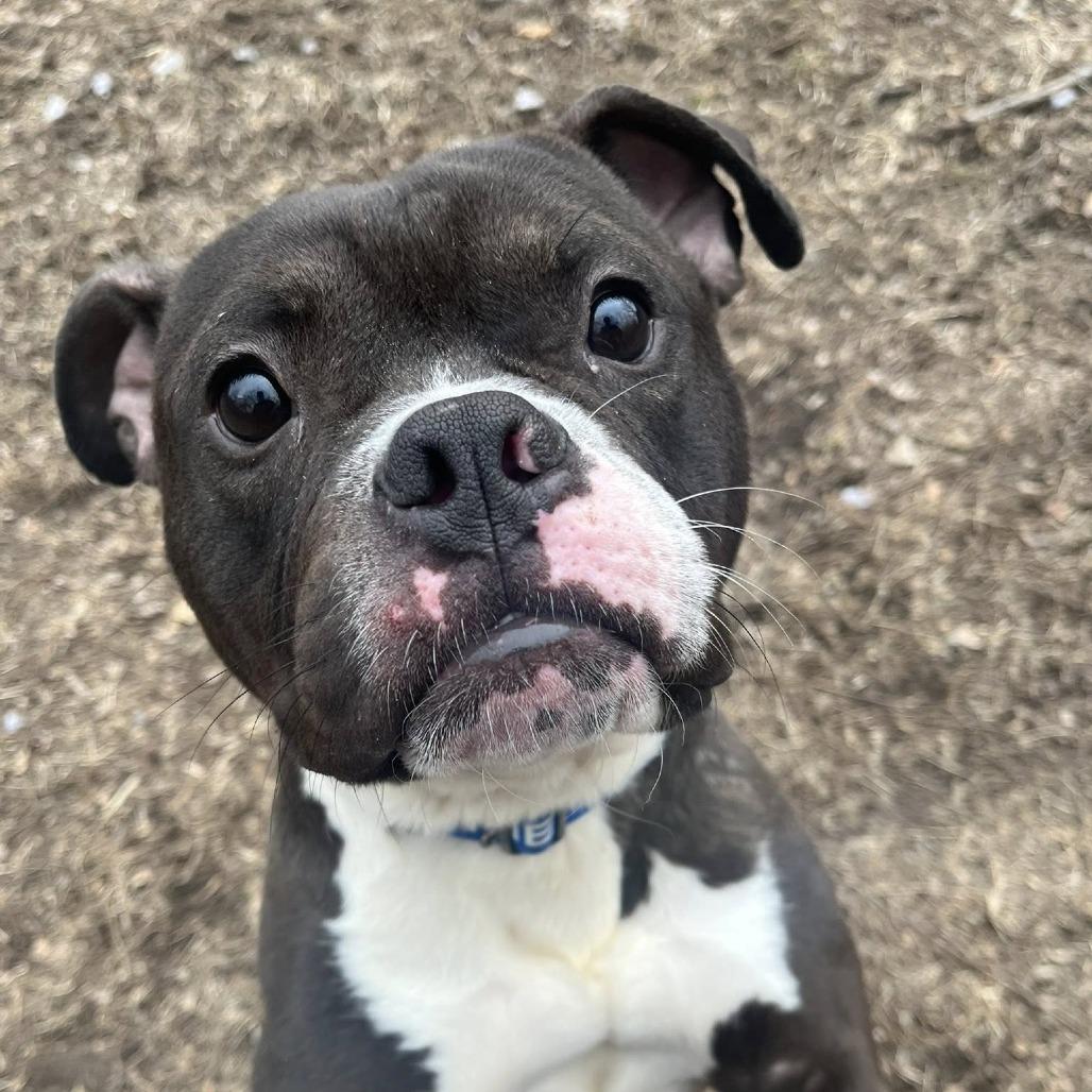 Mark — thumbnail 3