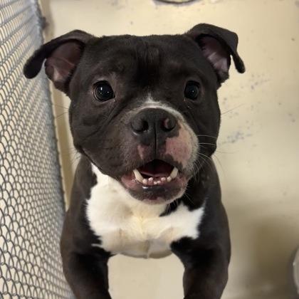 Mark — thumbnail 4