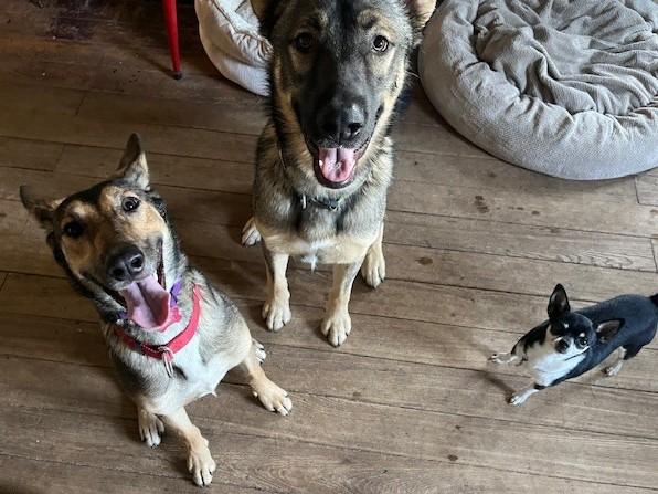 Rosie* — thumbnail 2