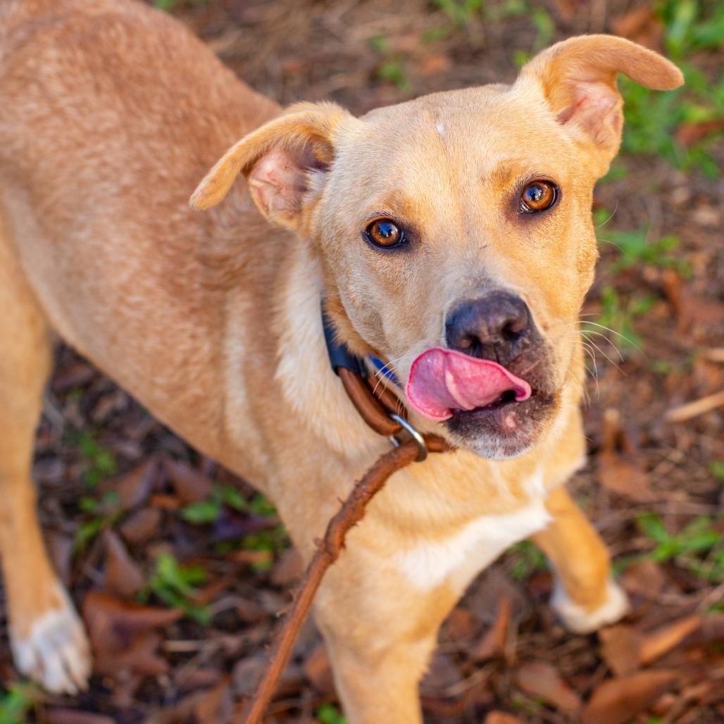 Dr. Pepper  Md thumbnail 2