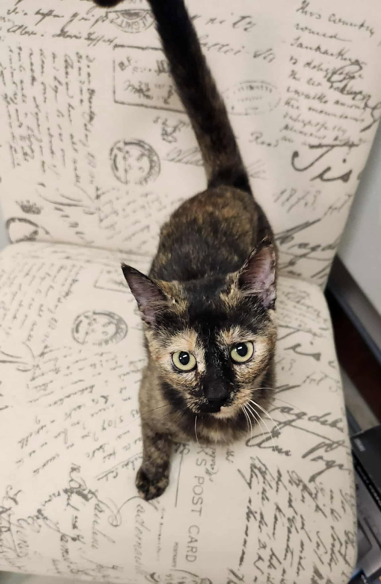 TILLY