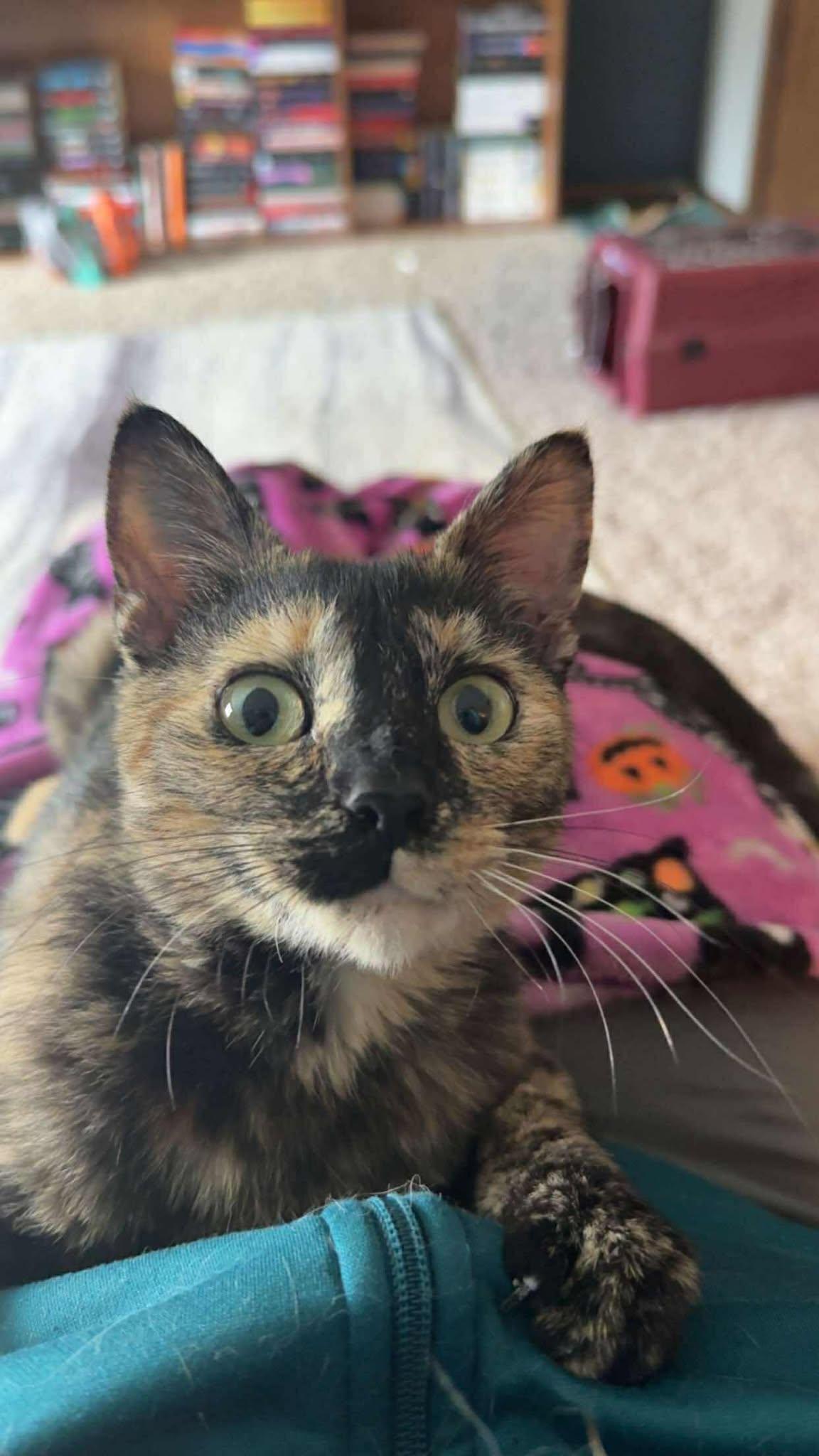 TILLY