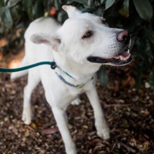 BANKS — thumbnail 2