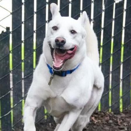 BANKS — thumbnail 4