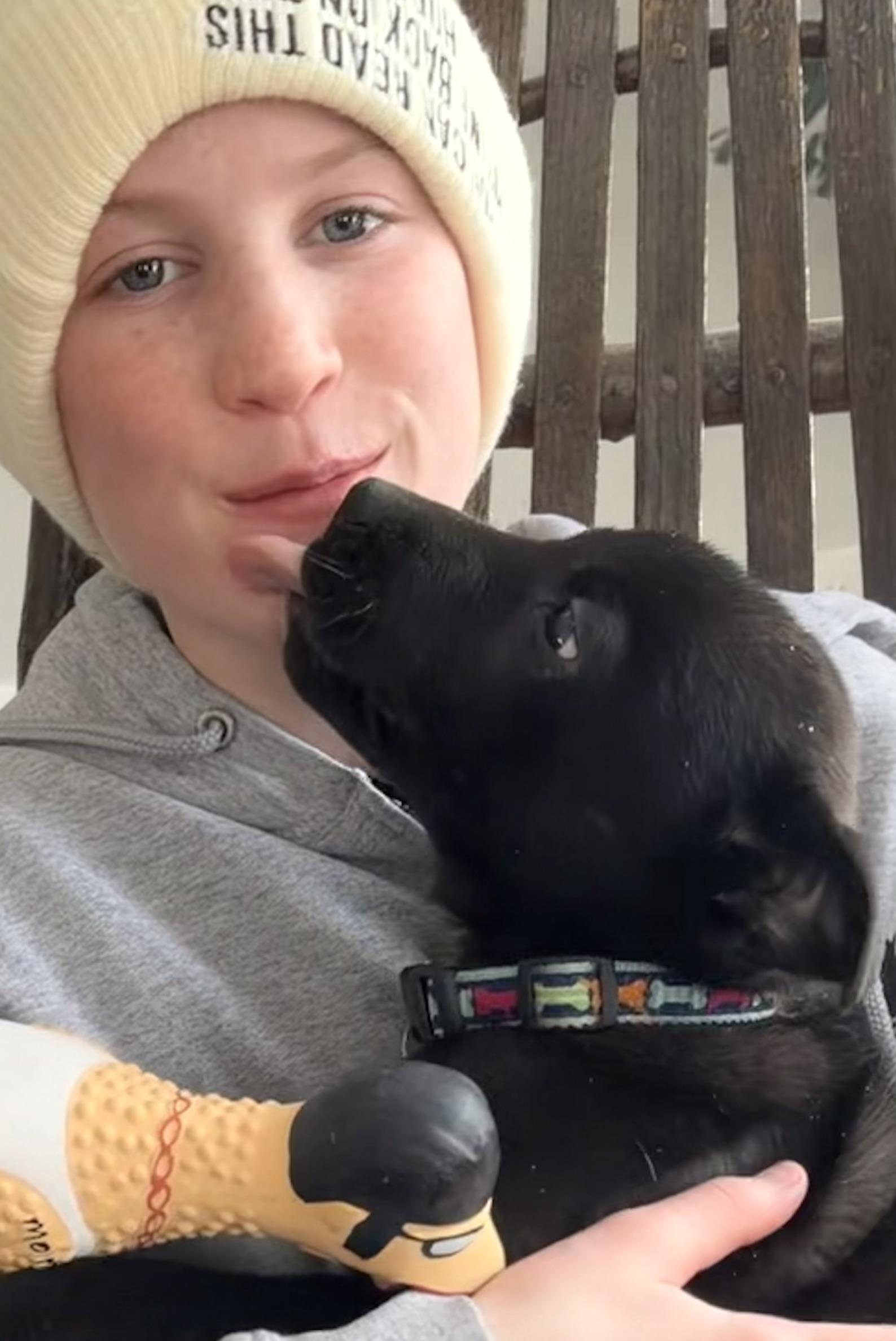 Jaxson, an adoptable mixed breed in Pittsburgh, PA image 2/6