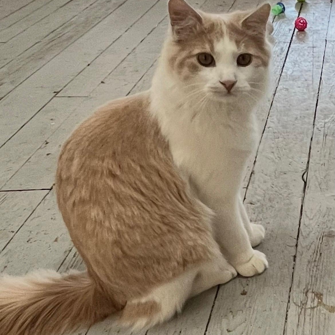 Frederick and Lake — thumbnail 2