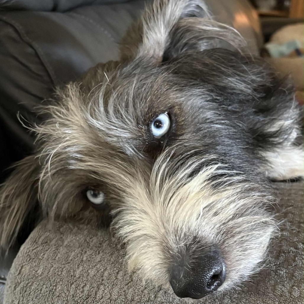 Harper Jane (San Antonio) — thumbnail 6