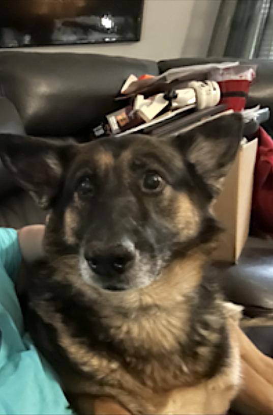 Sweetz — thumbnail 3