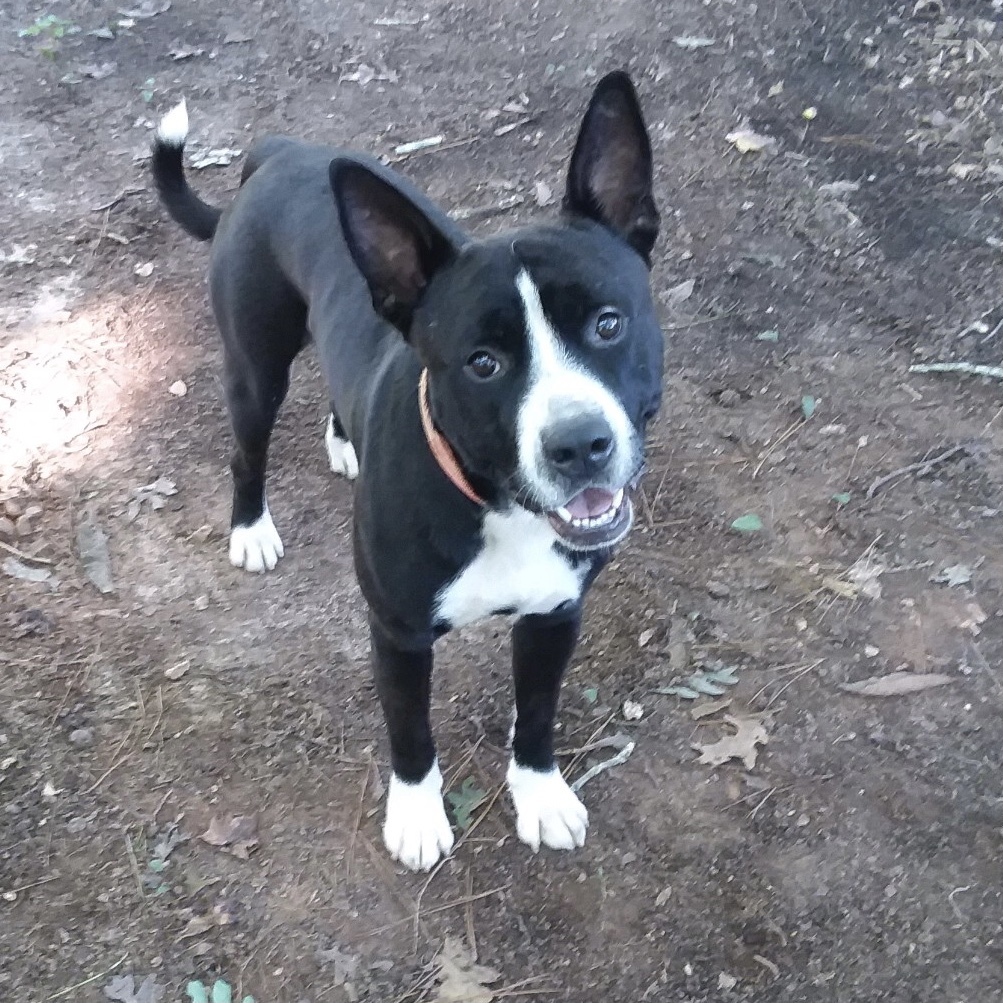 Courtesy Listing: Bubba