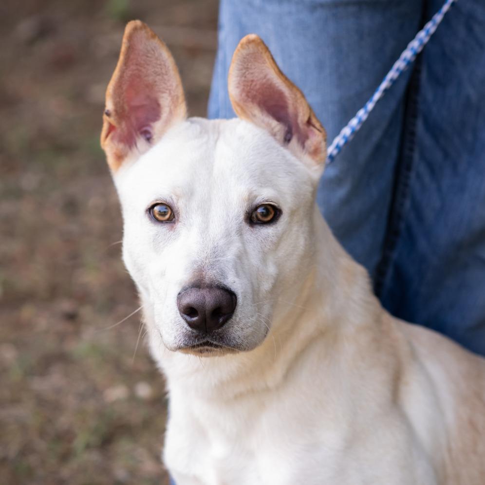 Sir Charles thumbnail 2