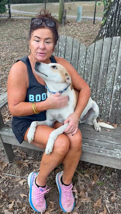 Enlarge Spotz, a Adoptable mixed breed in Warwick, RI video 4/6
