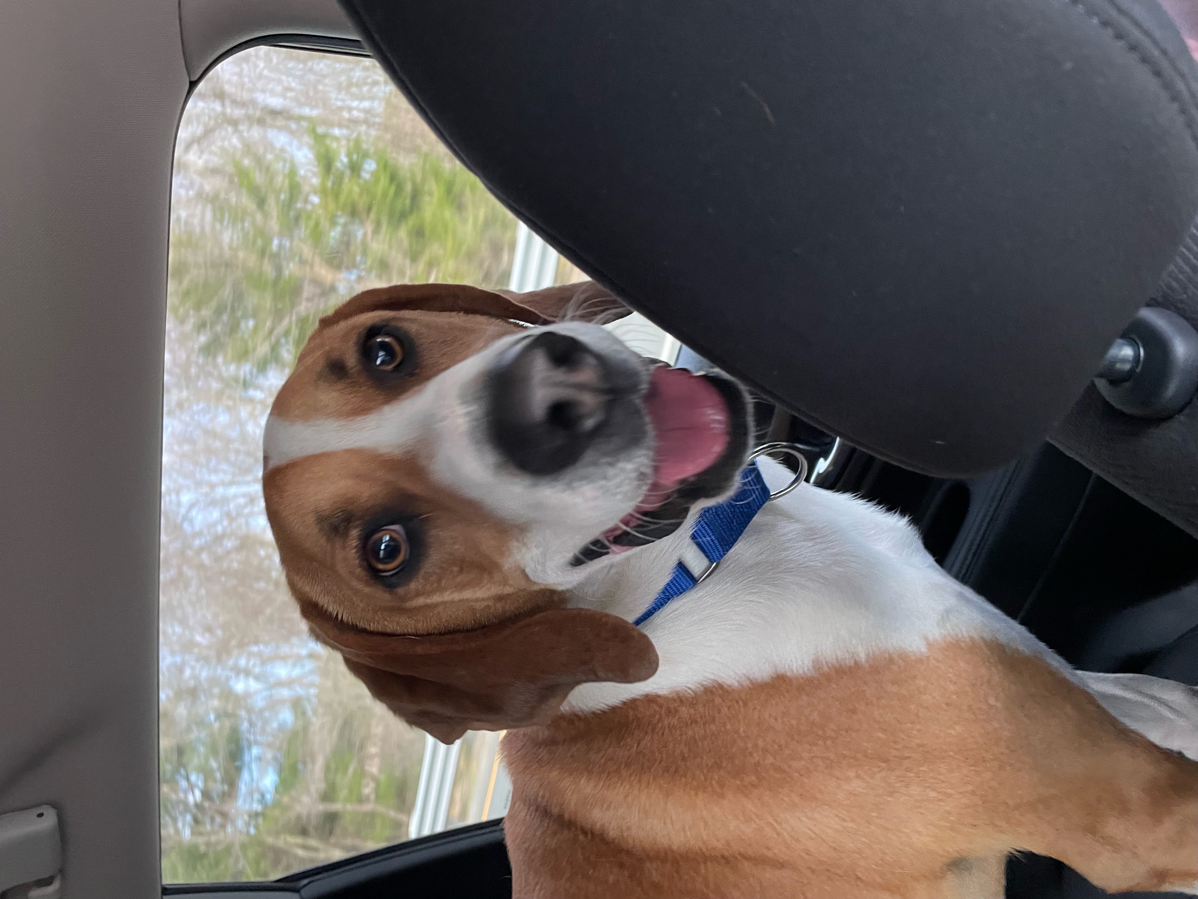 Eugene