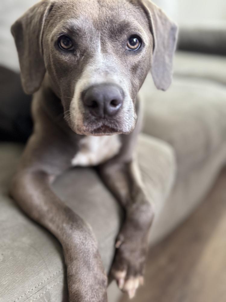 Daisy the Delightful