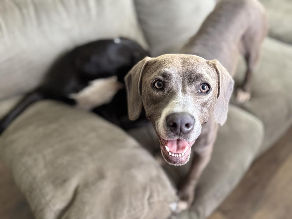 Daisy the Delightful — thumbnail 2