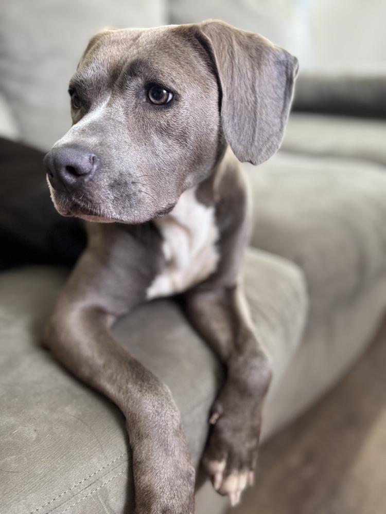 Daisy the Delightful — thumbnail 3