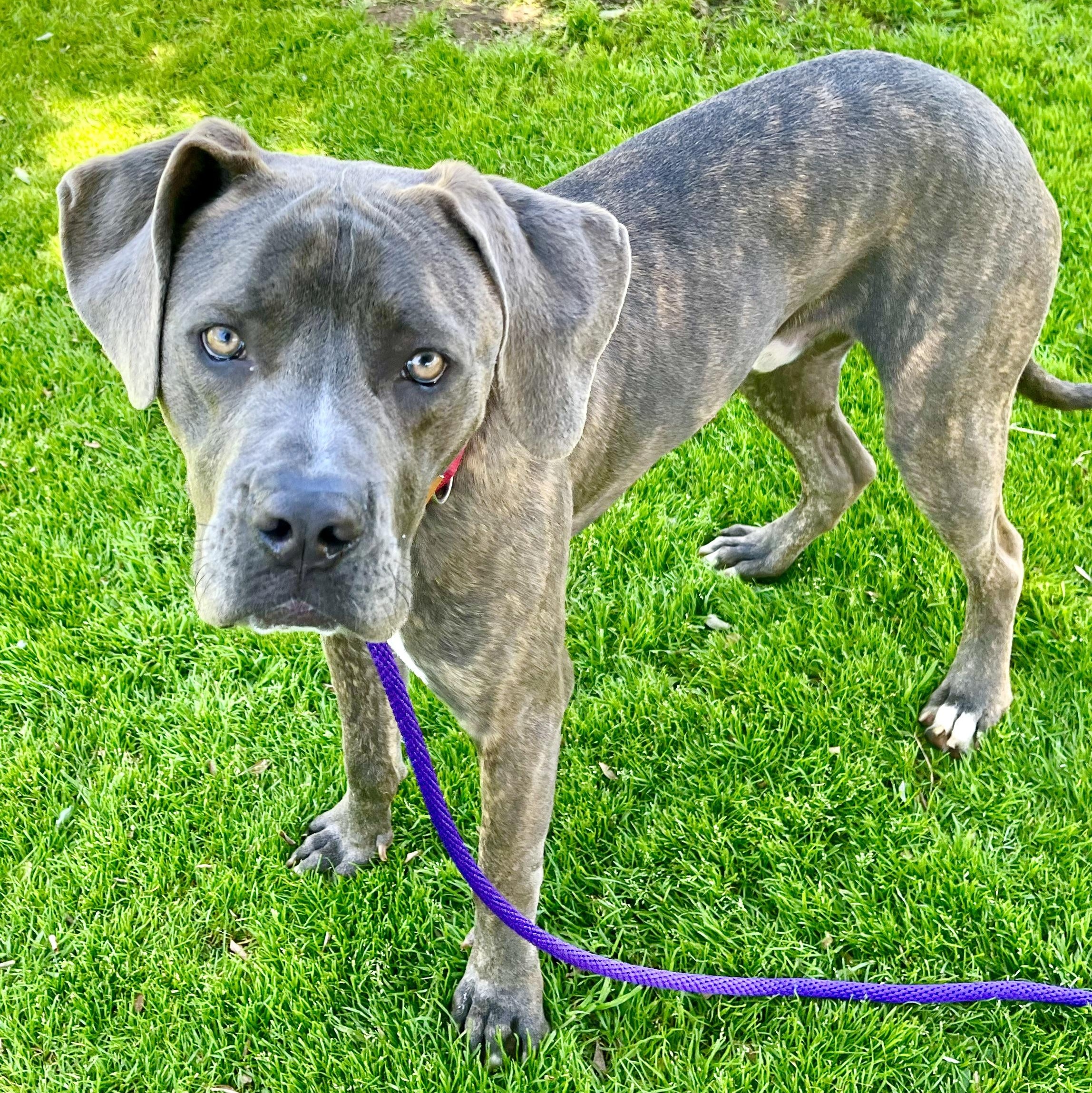 BALOO photo 2