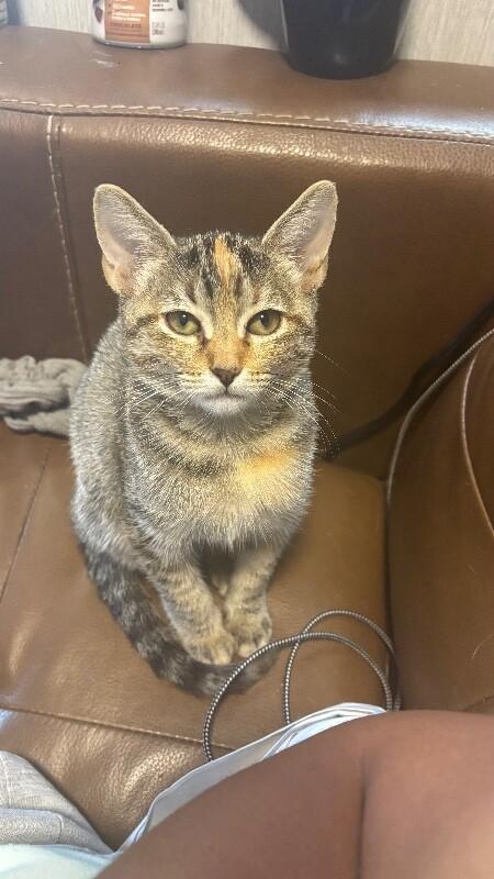 Nashville Barrera — thumbnail 4