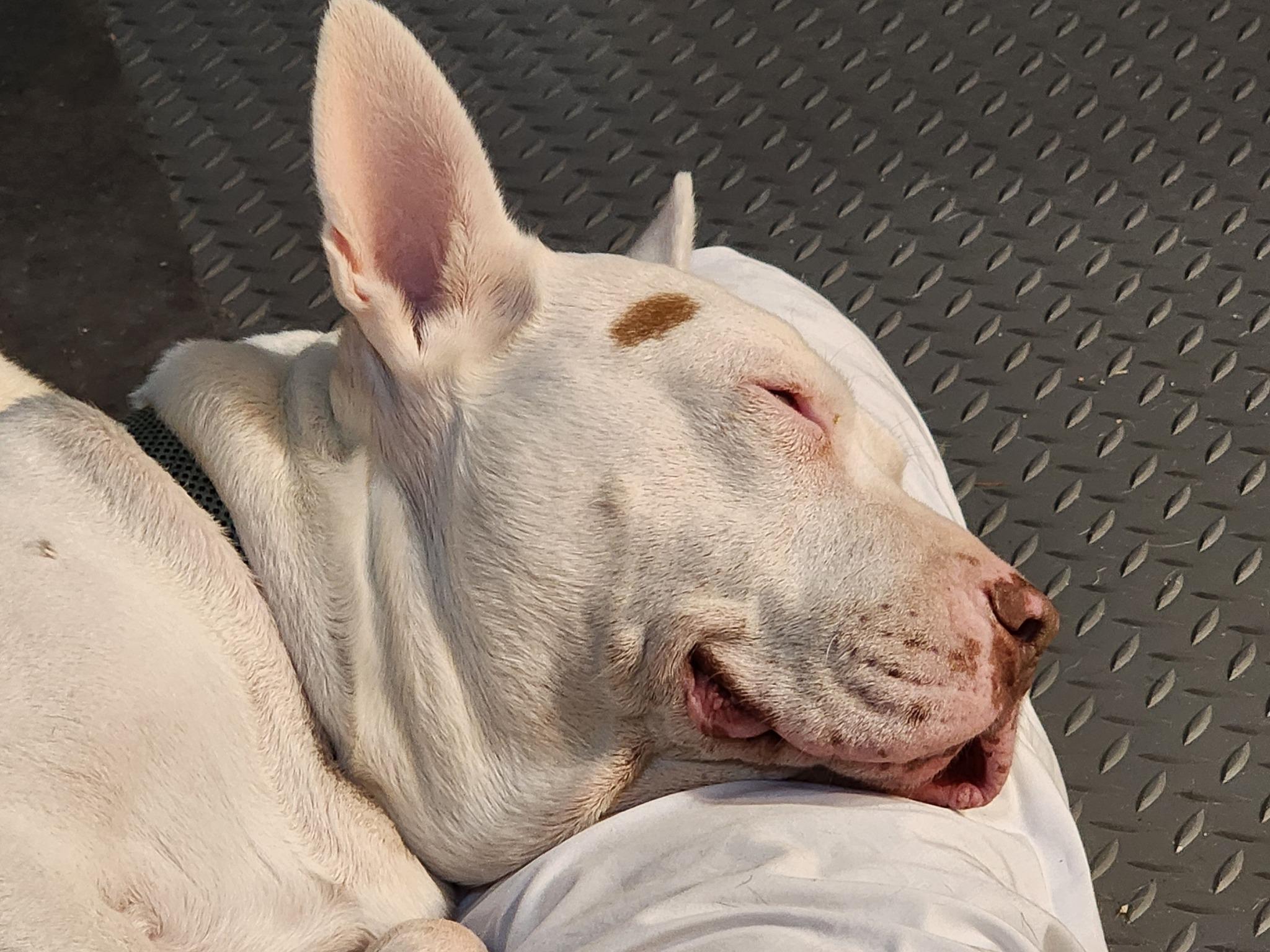 Daisy Mae thumbnail 7