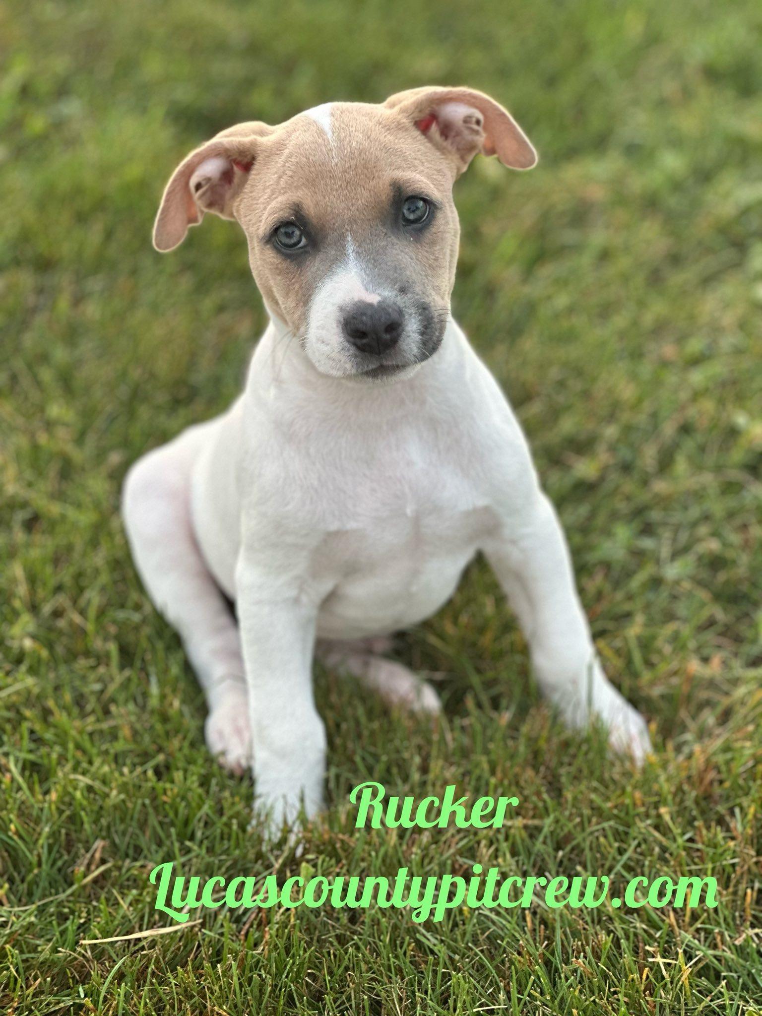 Rucker
