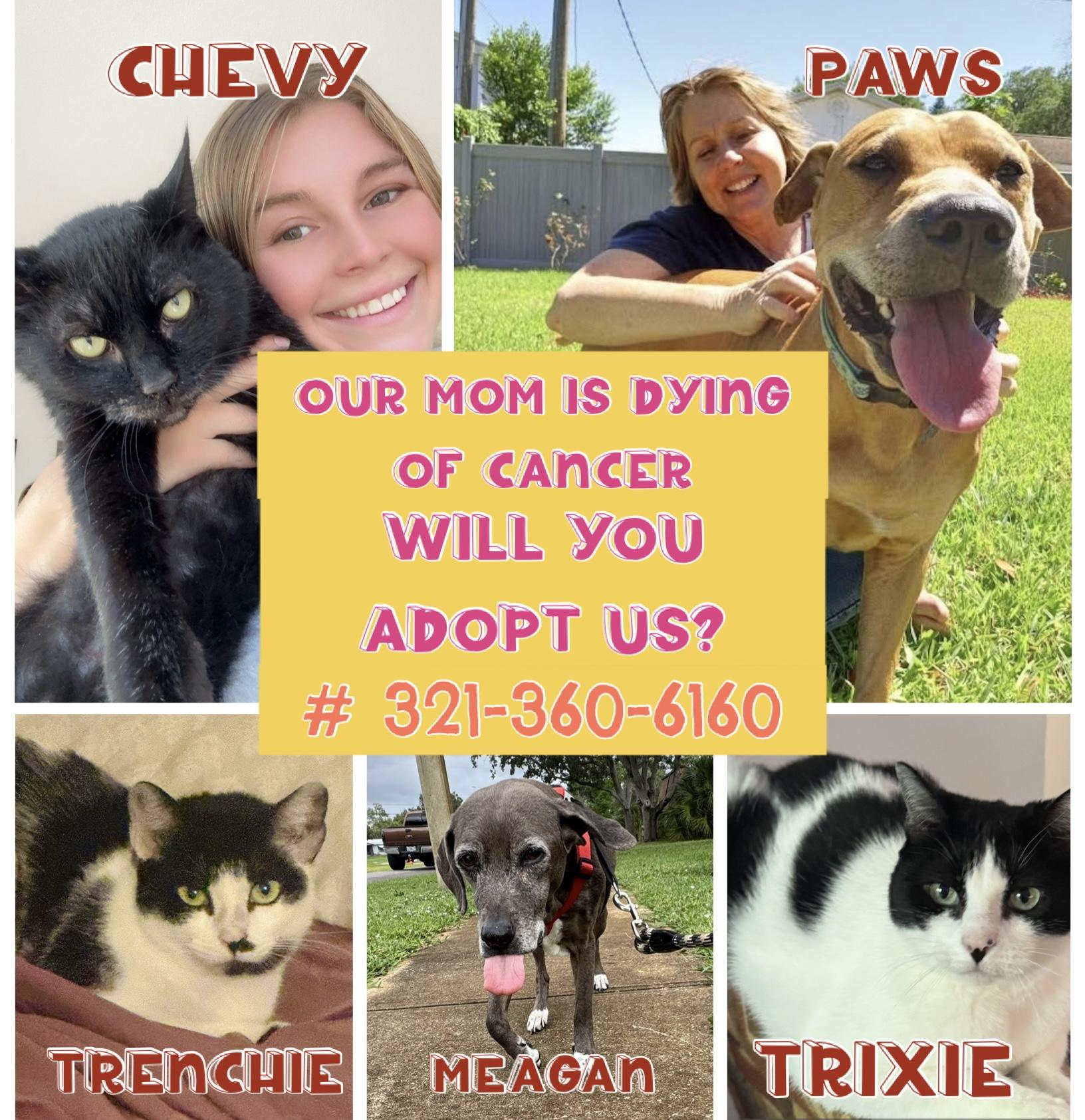 Our mom dying of cancer (ADOPT US) 5 pets