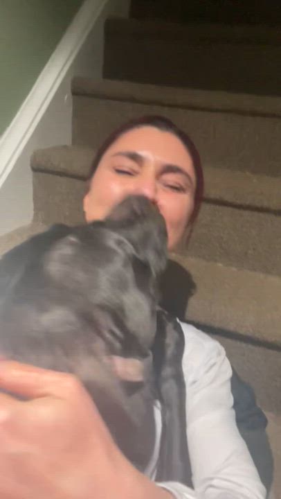 Enlarge Blanca, a Adoptable mixed breed in Newfoundland, NJ video 2/5