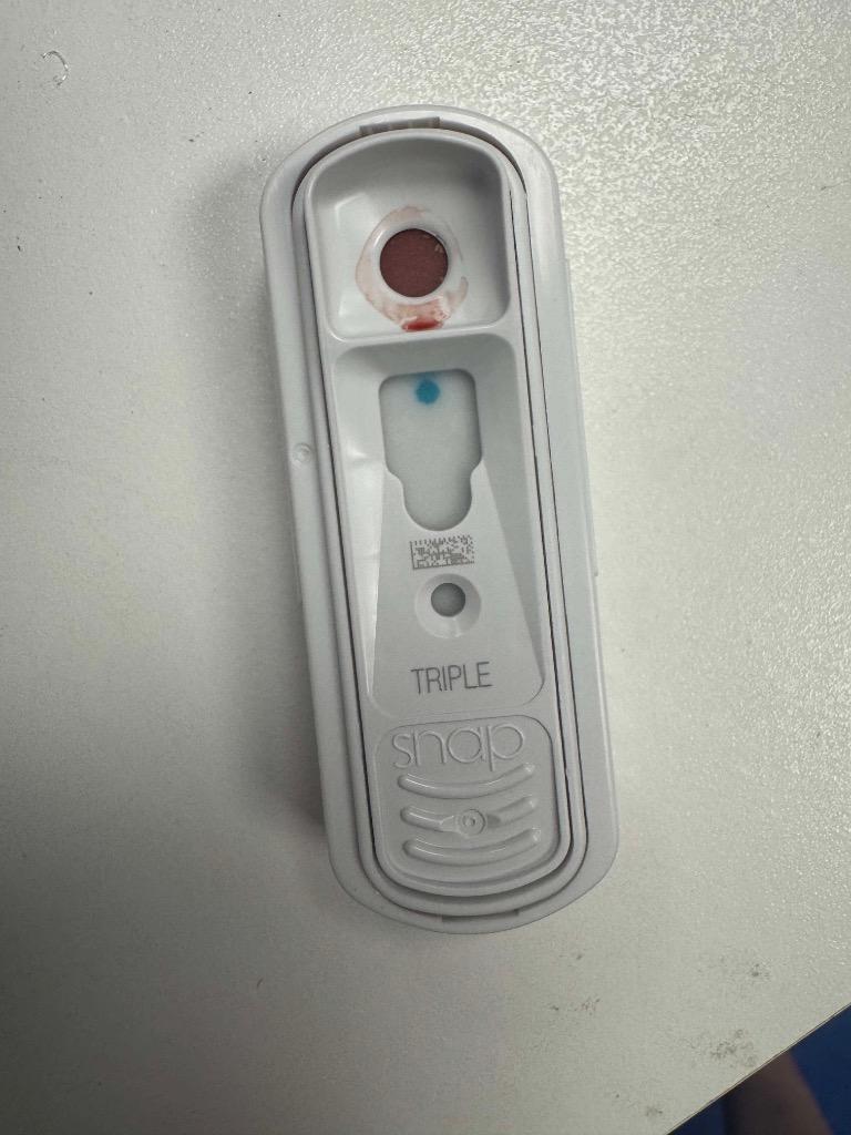 Enlarge Dot, a Adoptable mixed breed in Johnson City, TN image 5/5