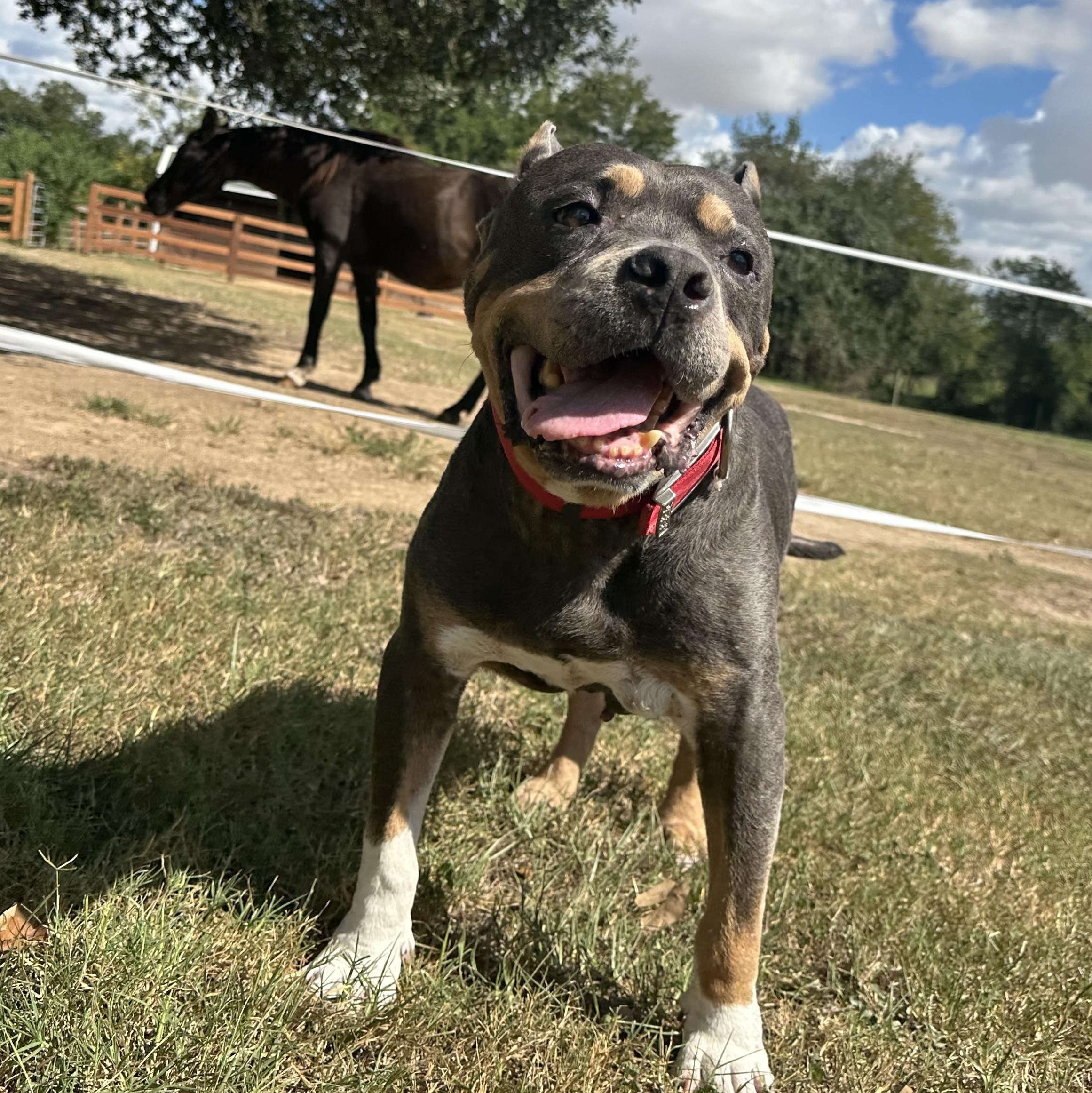 Meet Bruno Mars – Our “24K Magic” Senior Star