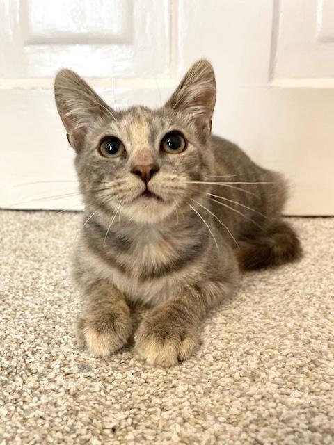 Eleanor