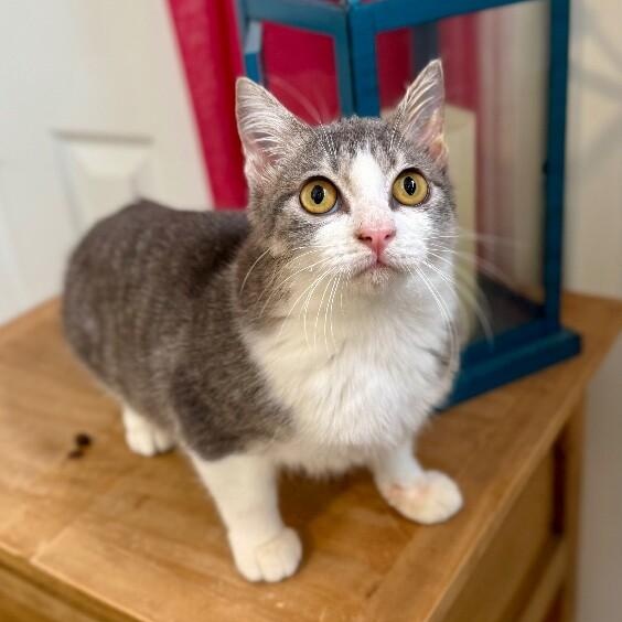 Karli Grace — thumbnail 2