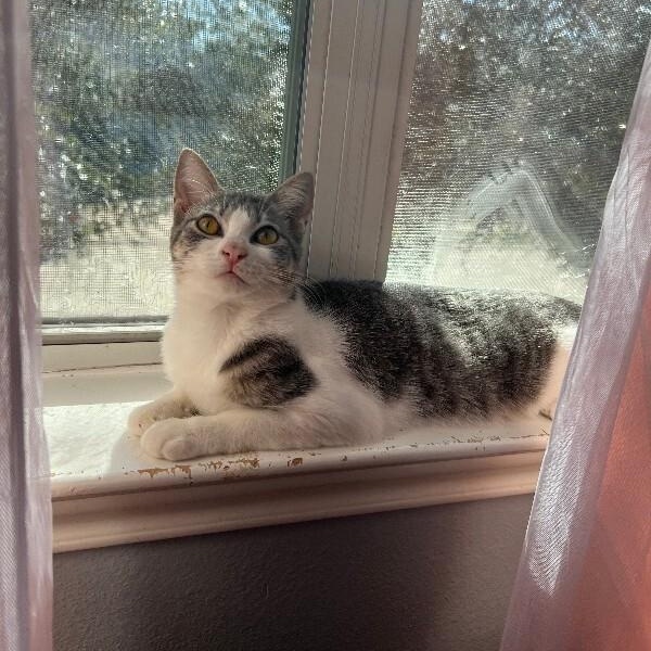 Karli Grace — thumbnail 4