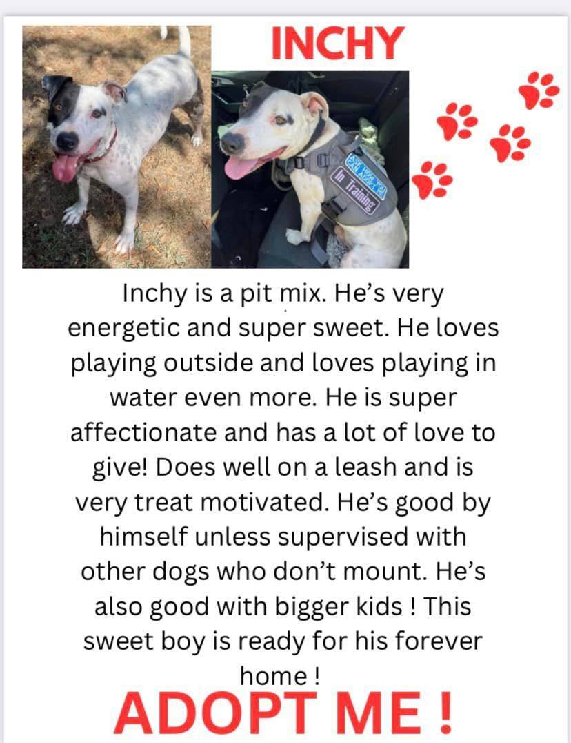 Inchy photo 5