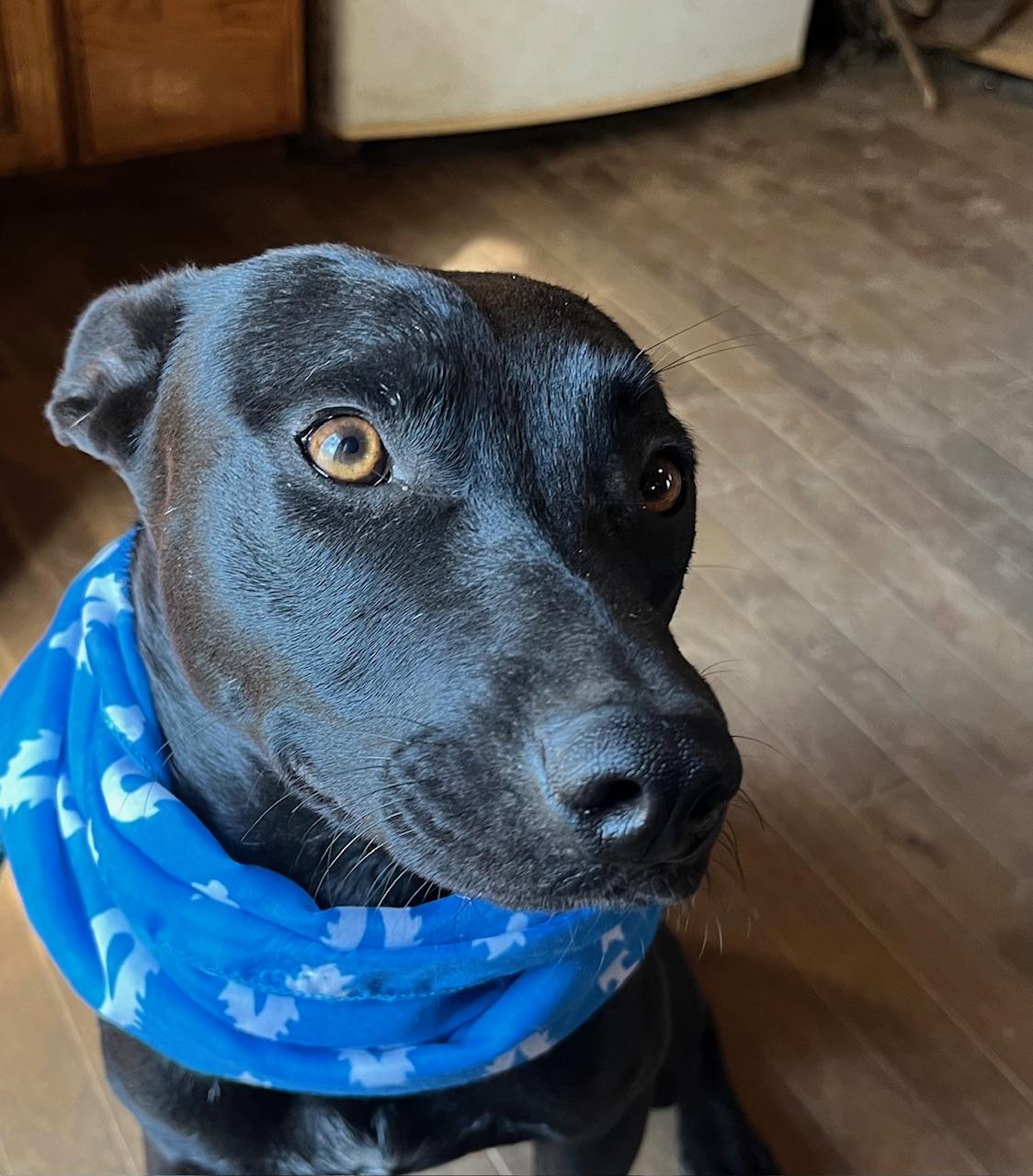 Max