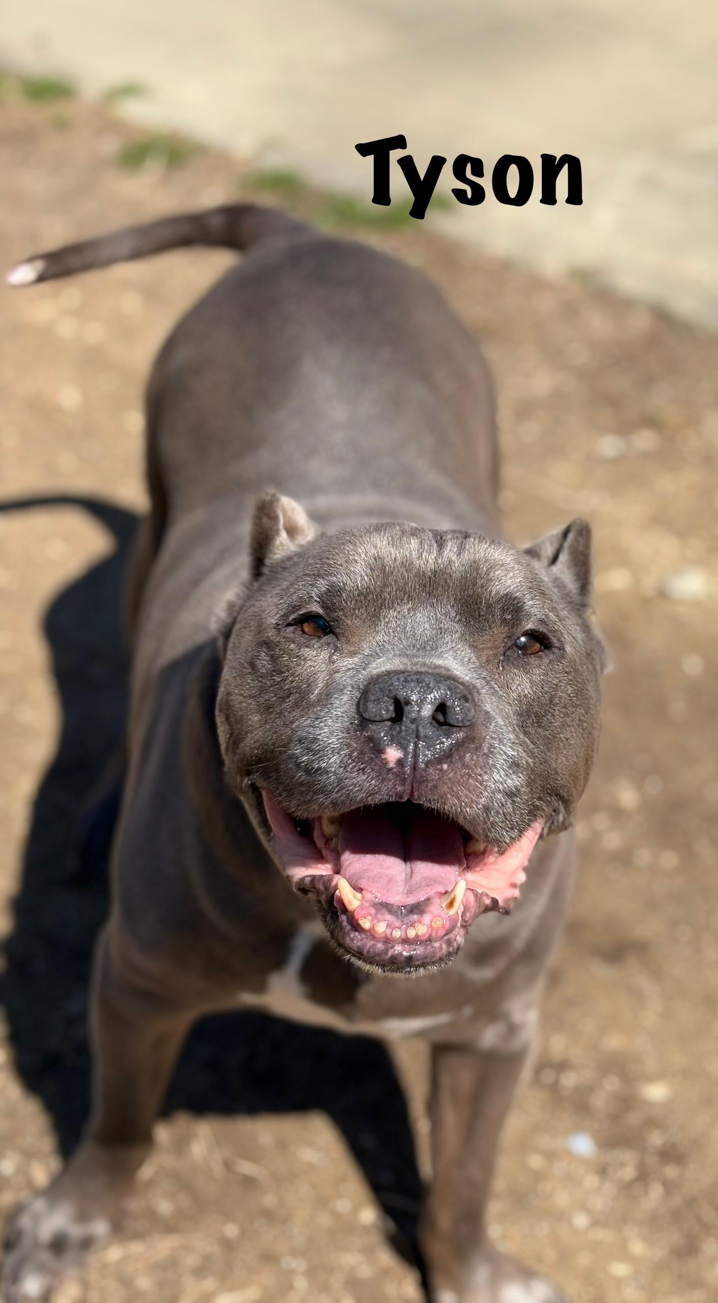 Tyson