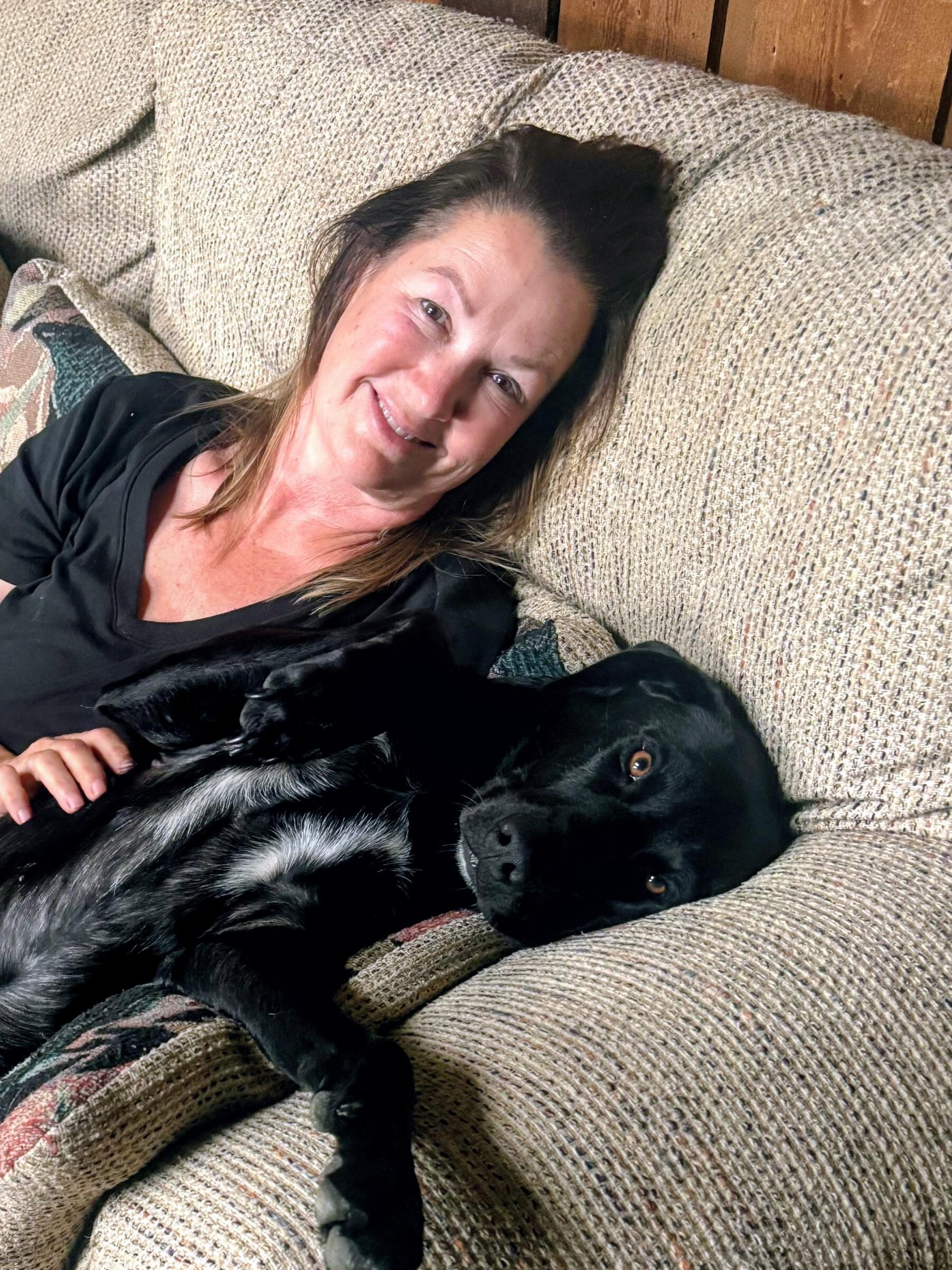 Lance, an adoptable Black Labrador Retriever in Willington, CT image 2/6